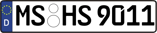MS-HS9011