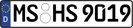 MS-HS9019