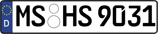 MS-HS9031