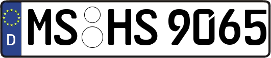 MS-HS9065