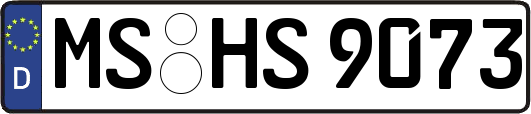 MS-HS9073