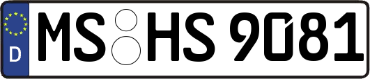 MS-HS9081