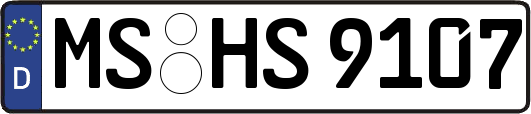 MS-HS9107