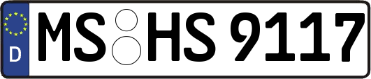 MS-HS9117