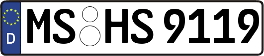 MS-HS9119