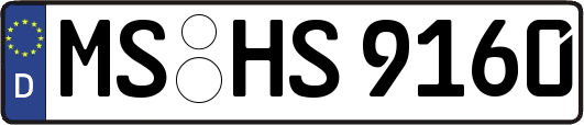 MS-HS9160