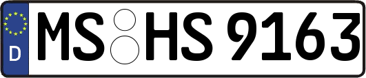 MS-HS9163