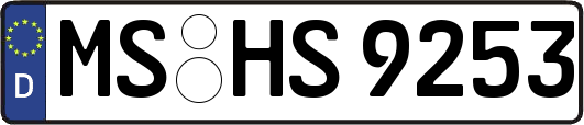 MS-HS9253