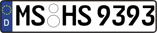 MS-HS9393