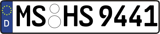 MS-HS9441