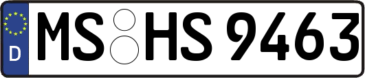 MS-HS9463