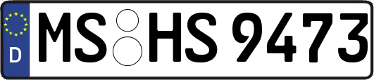 MS-HS9473
