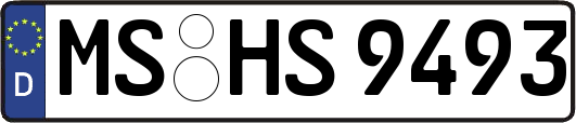 MS-HS9493
