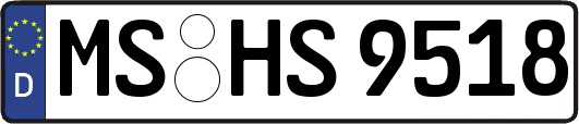 MS-HS9518