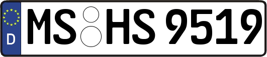 MS-HS9519