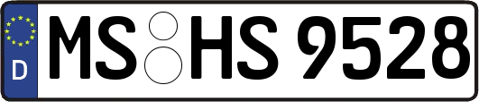 MS-HS9528