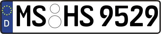 MS-HS9529