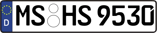 MS-HS9530