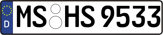 MS-HS9533
