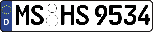 MS-HS9534