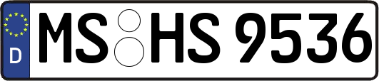 MS-HS9536