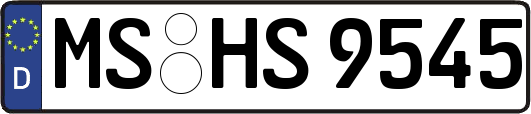 MS-HS9545
