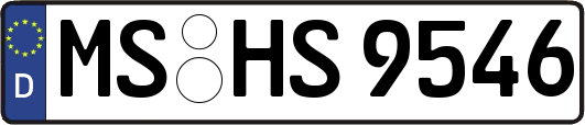 MS-HS9546