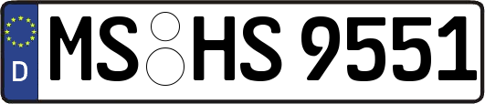 MS-HS9551