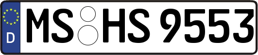 MS-HS9553
