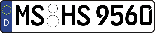 MS-HS9560