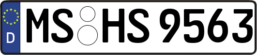 MS-HS9563