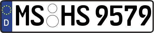 MS-HS9579