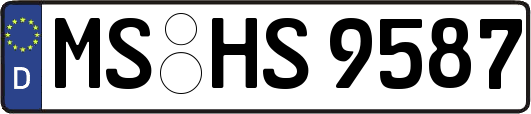 MS-HS9587