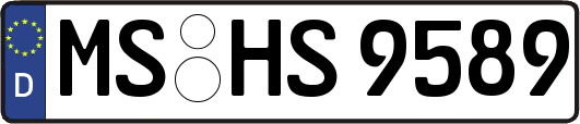 MS-HS9589