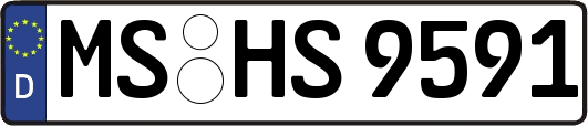 MS-HS9591