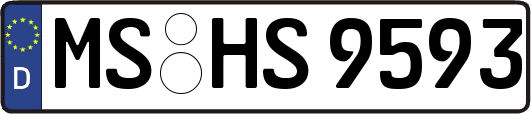 MS-HS9593