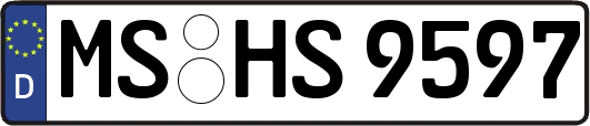 MS-HS9597