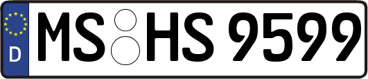 MS-HS9599