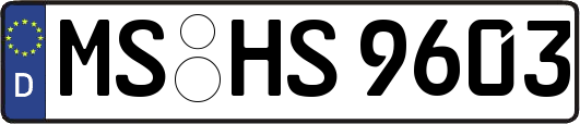 MS-HS9603