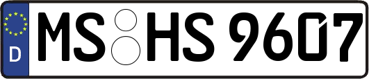 MS-HS9607