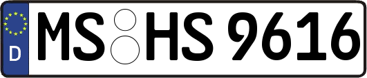 MS-HS9616
