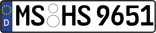 MS-HS9651