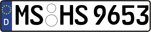 MS-HS9653