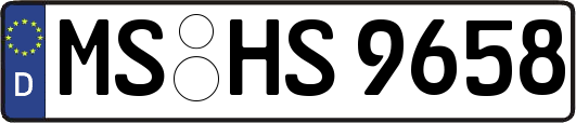 MS-HS9658