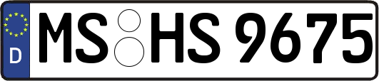 MS-HS9675