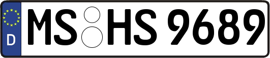 MS-HS9689