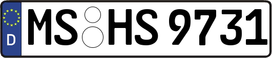 MS-HS9731