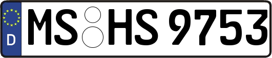 MS-HS9753
