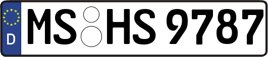 MS-HS9787