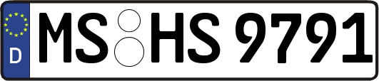 MS-HS9791
